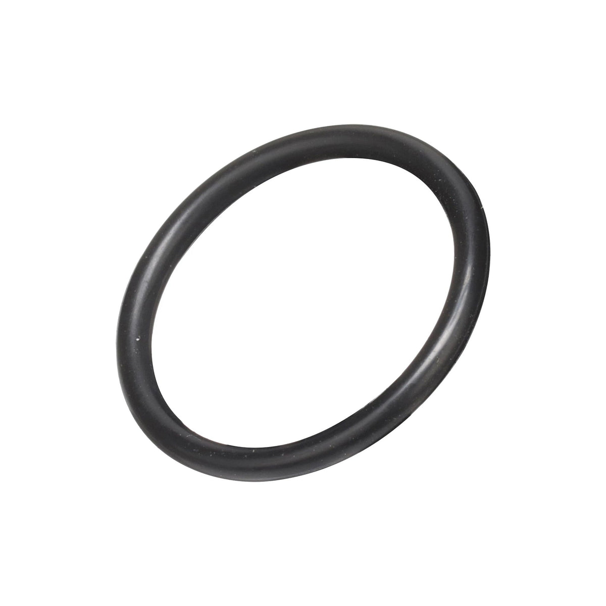 100080A1 - OEM O-RING - CASE CONSTRUCTION