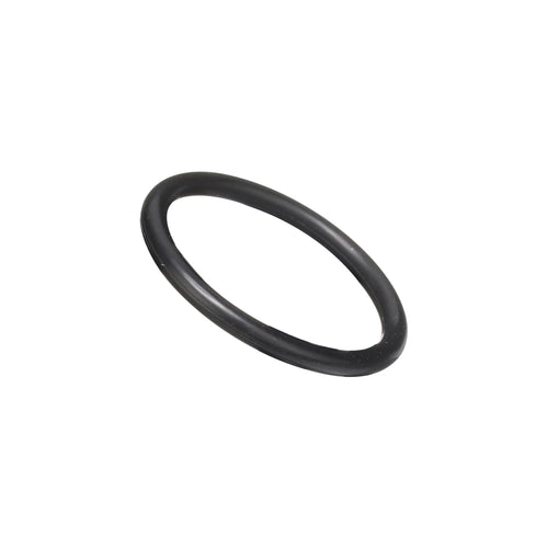 100080A1 - OEM O-RING - CASE CONSTRUCTION