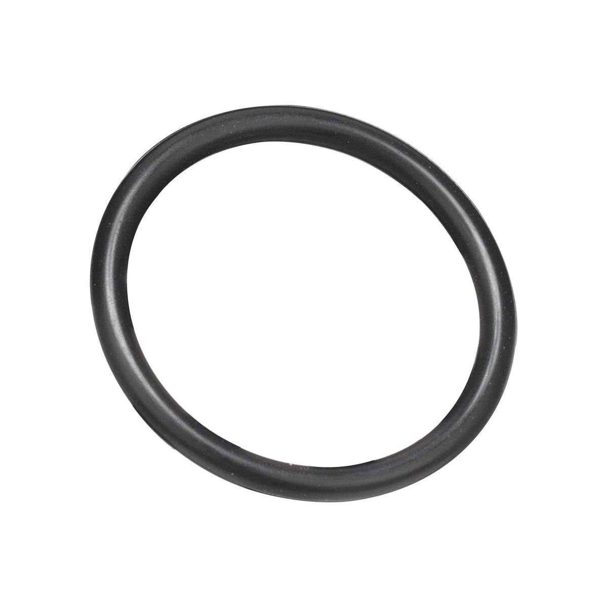 100080A1 - OEM O-RING - CASE CONSTRUCTION
