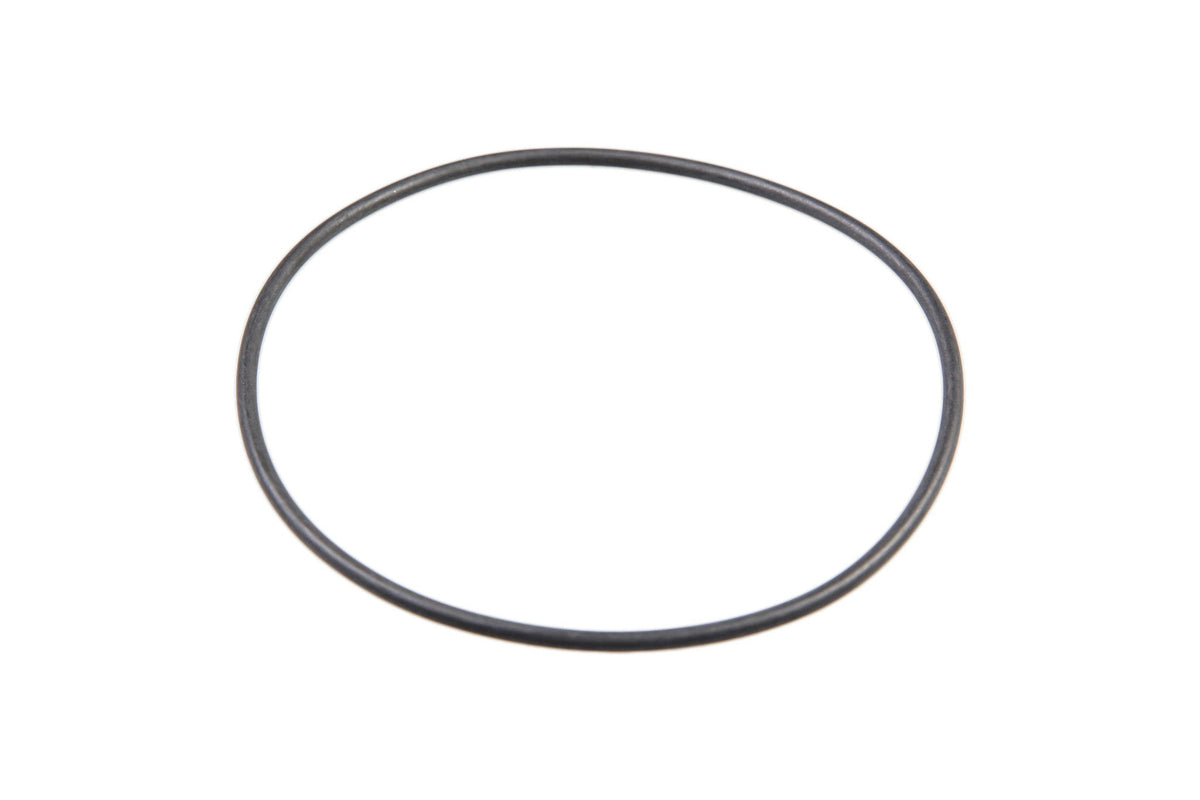 100138A1 - OEM O-RING - CASE CONSTRUCTION