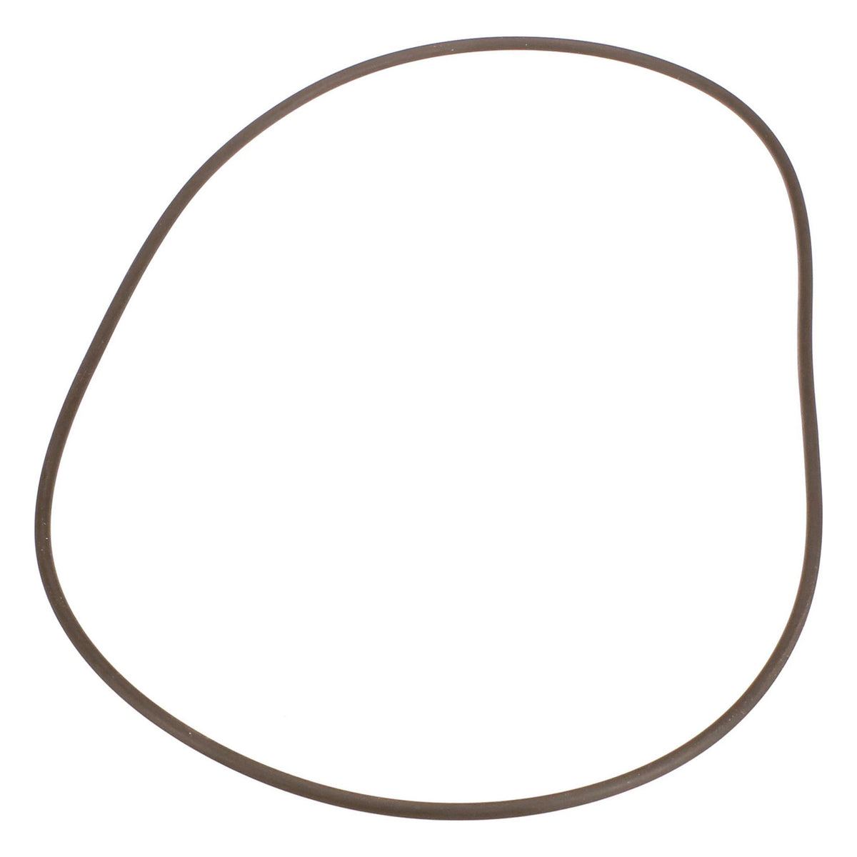 100139A1 - OEM O-RING - CASE CONSTRUCTION
