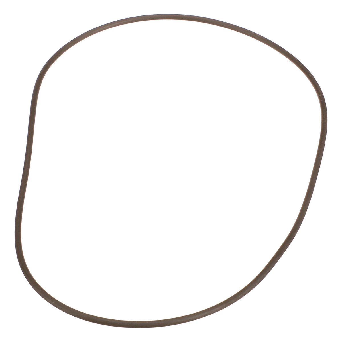 100139A1 - OEM O-RING - CASE CONSTRUCTION