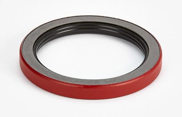 100173A1 - OEM OIL SEAL - CASE CONSTRUCTION