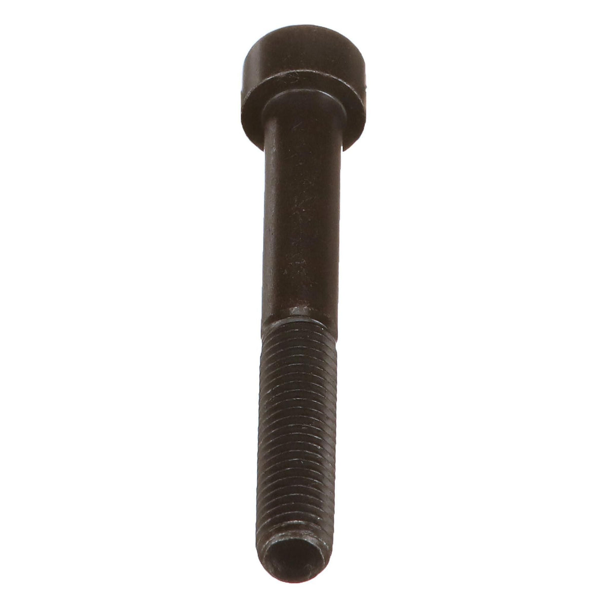 100331A1 - OEM SCREW - CASE CONSTRUCTION