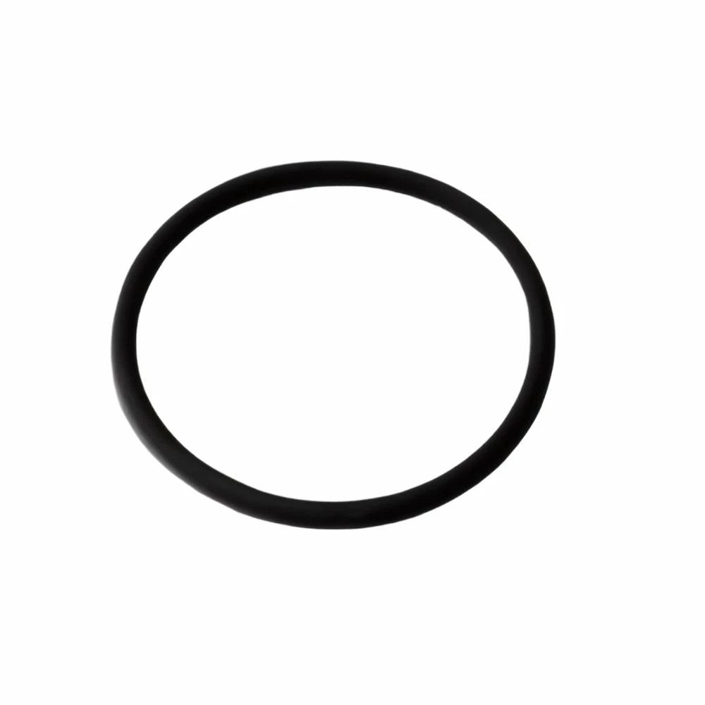 100747A1 - OEM O-RING - CASE CONSTRUCTION