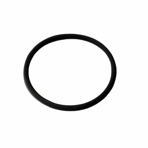 100747A1 - OEM O-RING - CASE CONSTRUCTION