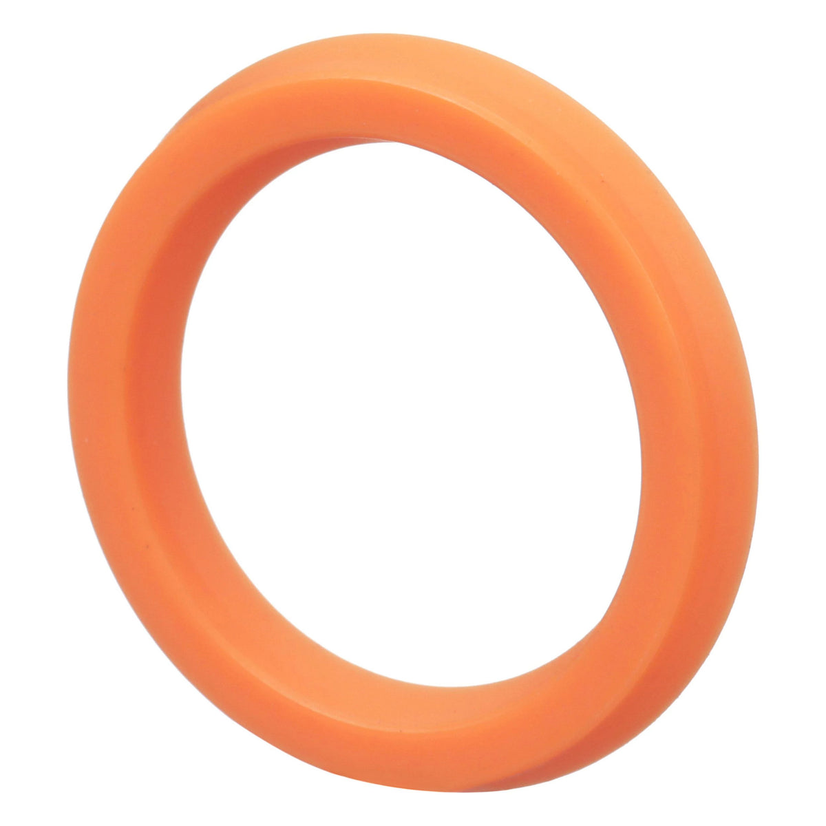 100850A1 - OEM SEAL - CASE CONSTRUCTION