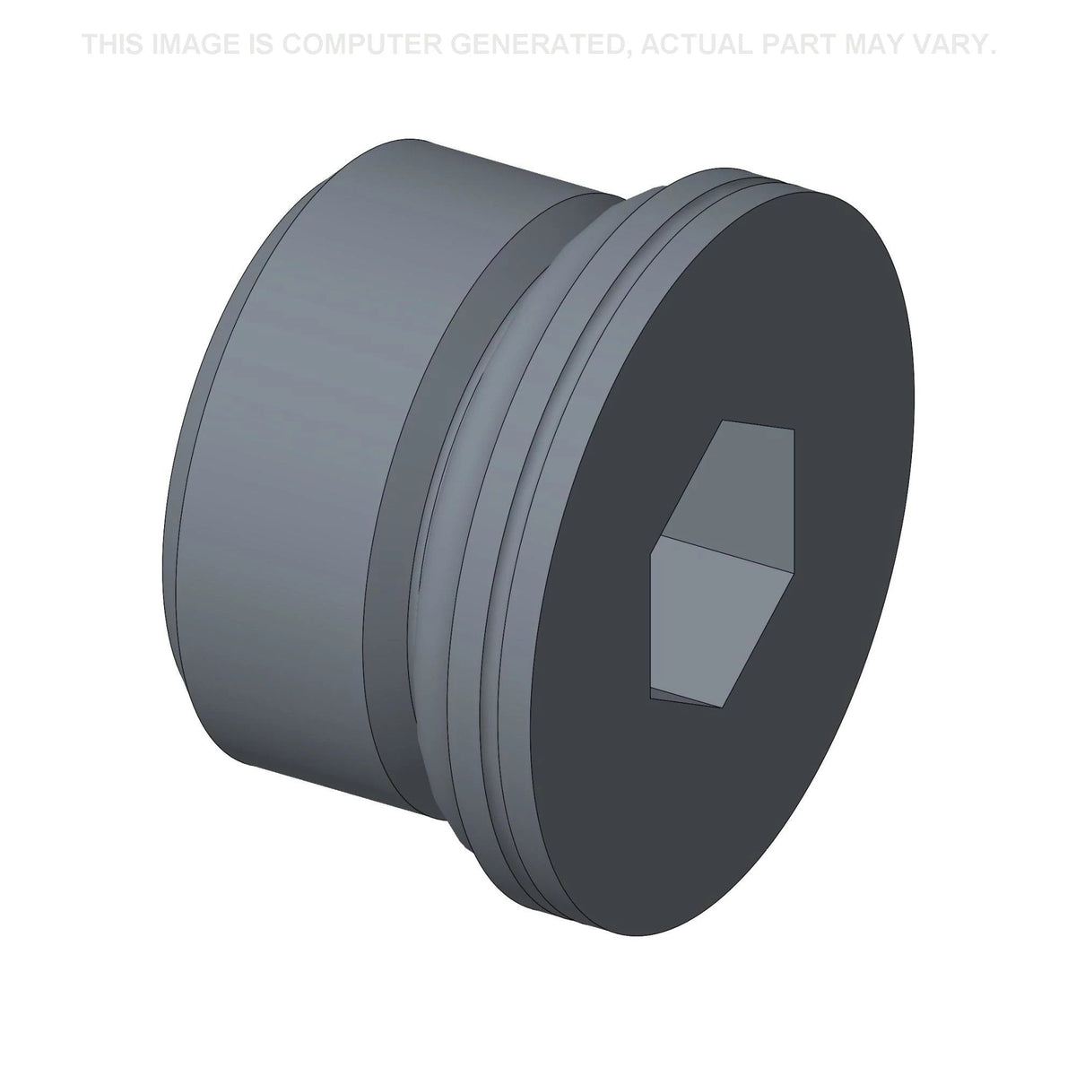 10119011 - OEM HEX PLUG - CASE CONSTRUCTION
