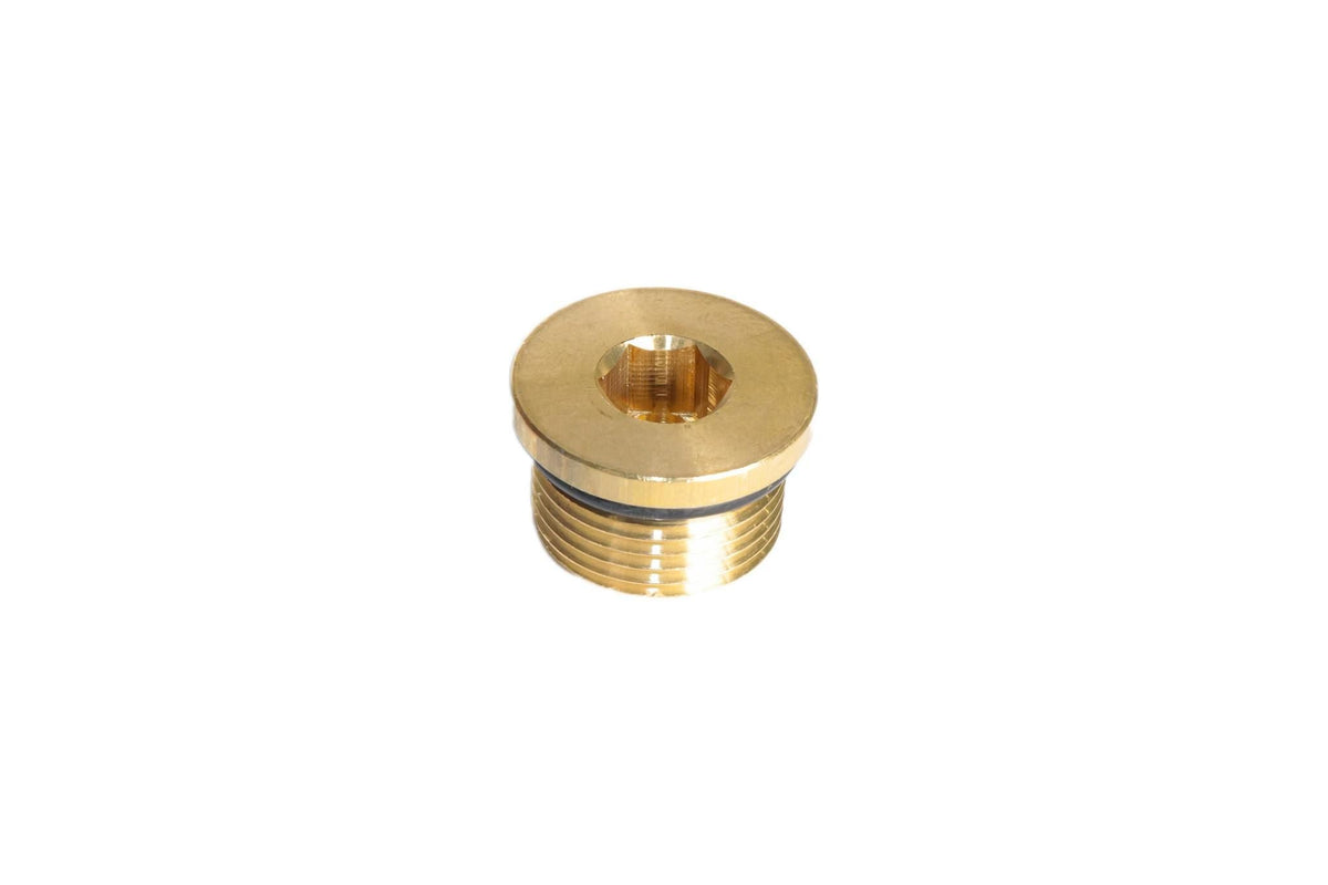 10119040 - OEM HEX SOCKET PLUG - CASE CONSTRUCTION