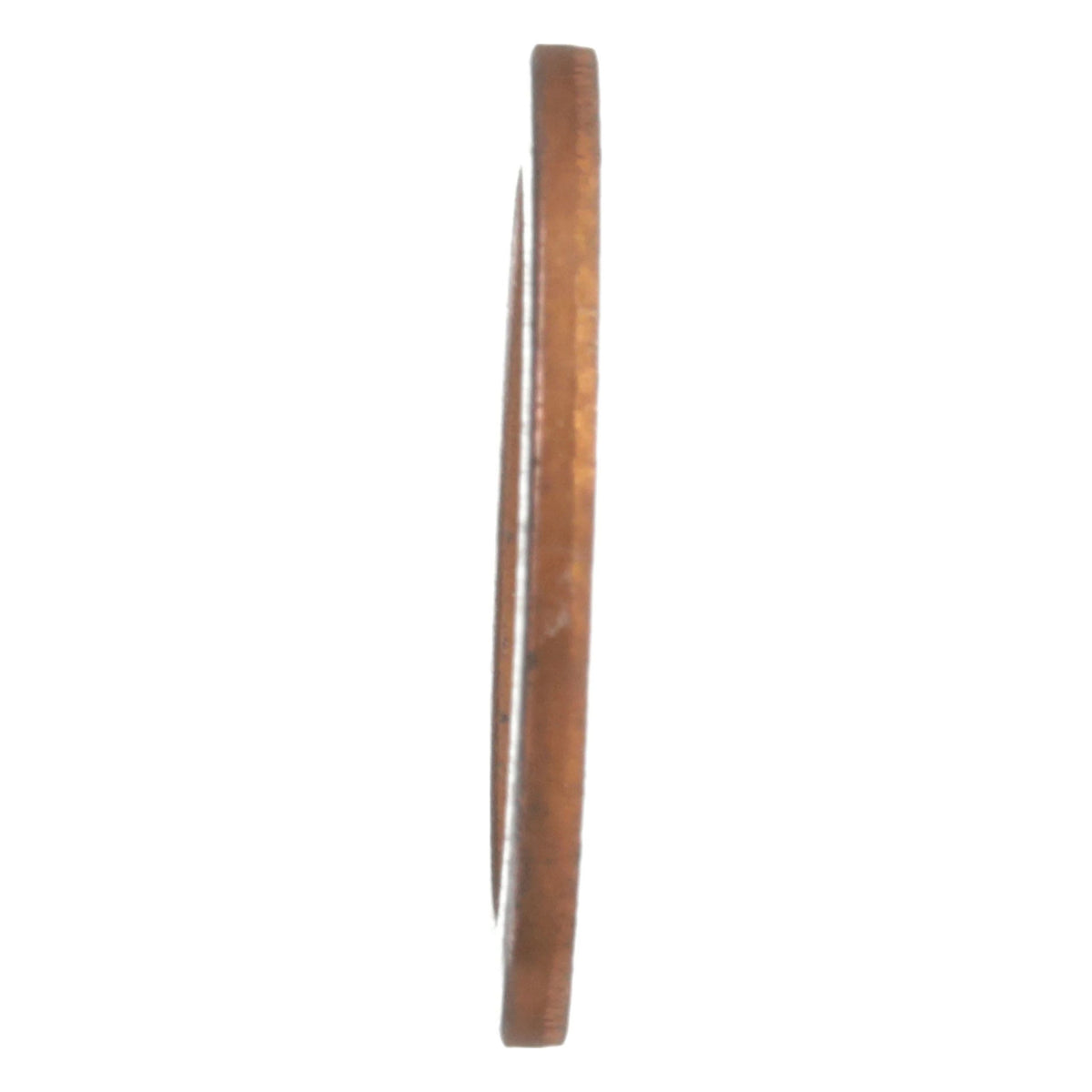 10260160 - OEM COPPER SEAL - CASE CONSTRUCTION