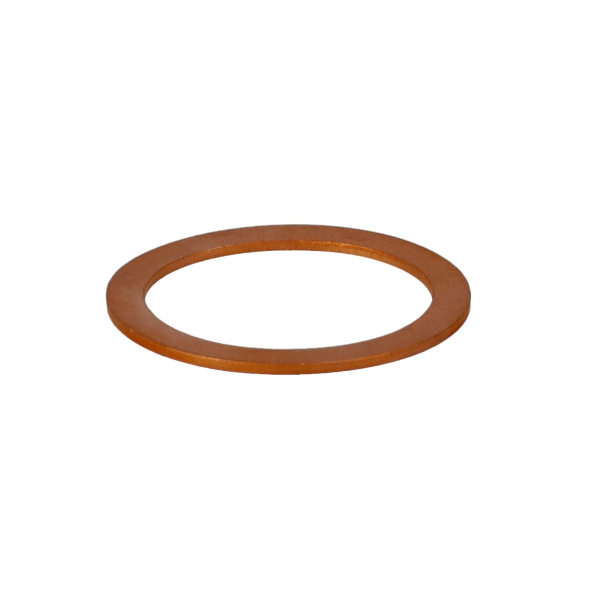 10263360 - OEM SEAL - CASE CONSTRUCTION