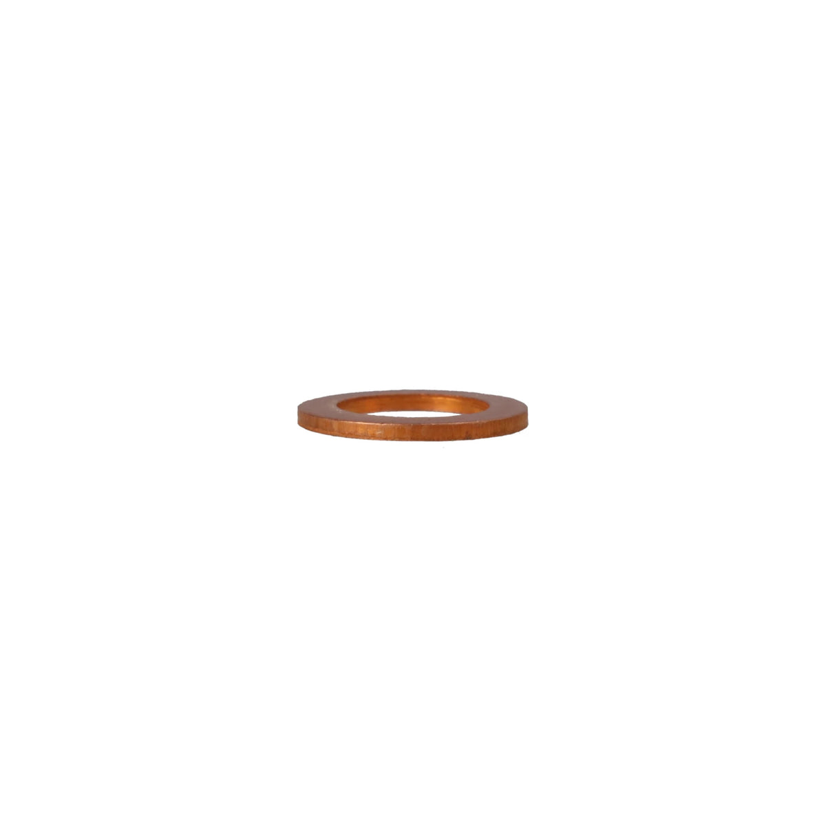1118641 - OEM GASKET - CASE CONSTRUCTION