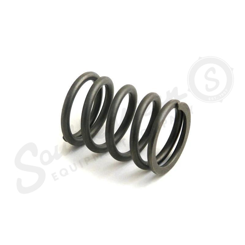 114780108X - OEM VALVE SPRING - CASE CONSTRUCTION