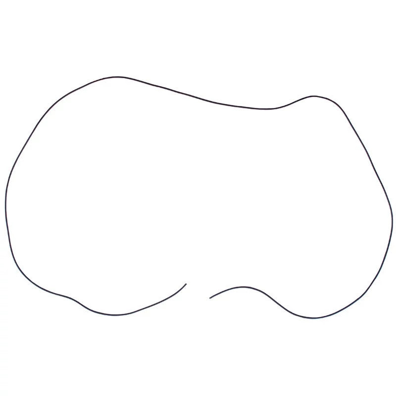 114841301X - OEM GASKET - CASE CONSTRUCTION