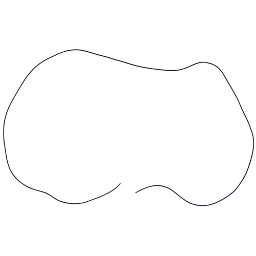 114841301X - OEM GASKET - CASE CONSTRUCTION