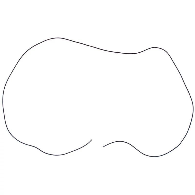 114841301X - OEM GASKET - CASE CONSTRUCTION