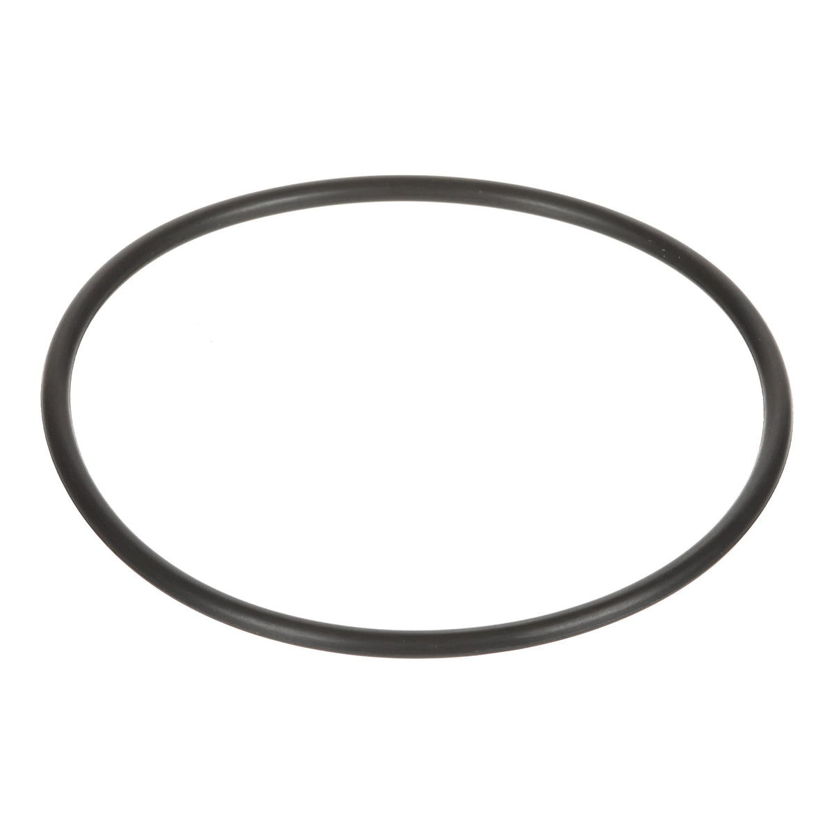 119393A1 - OEM O-RING - CASE CONSTRUCTION