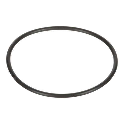 119393A1 - OEM O-RING - CASE CONSTRUCTION