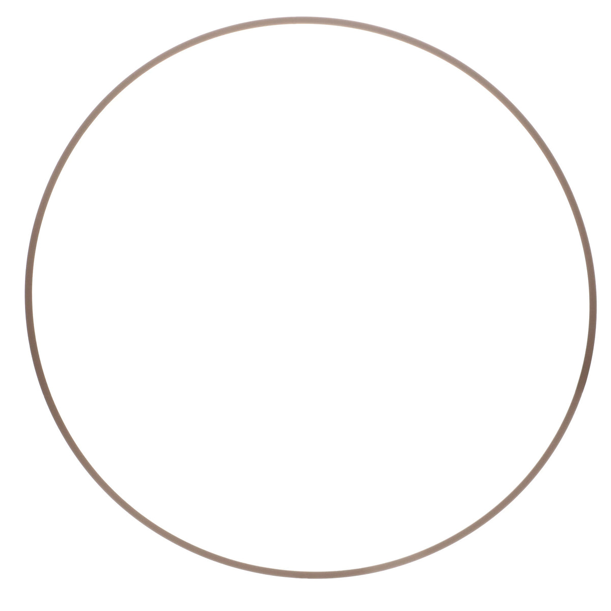 119426A1 - OEM BACK-UP RING - CASE CONSTRUCTION