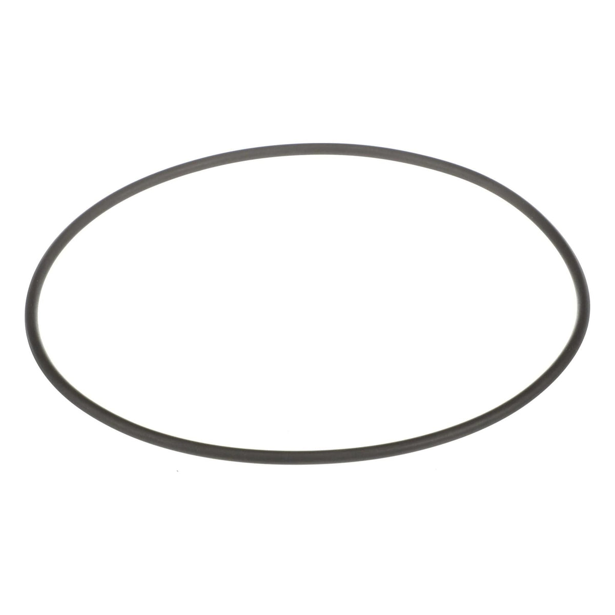 120041A1 - OEM O-RING - CASE CONSTRUCTION