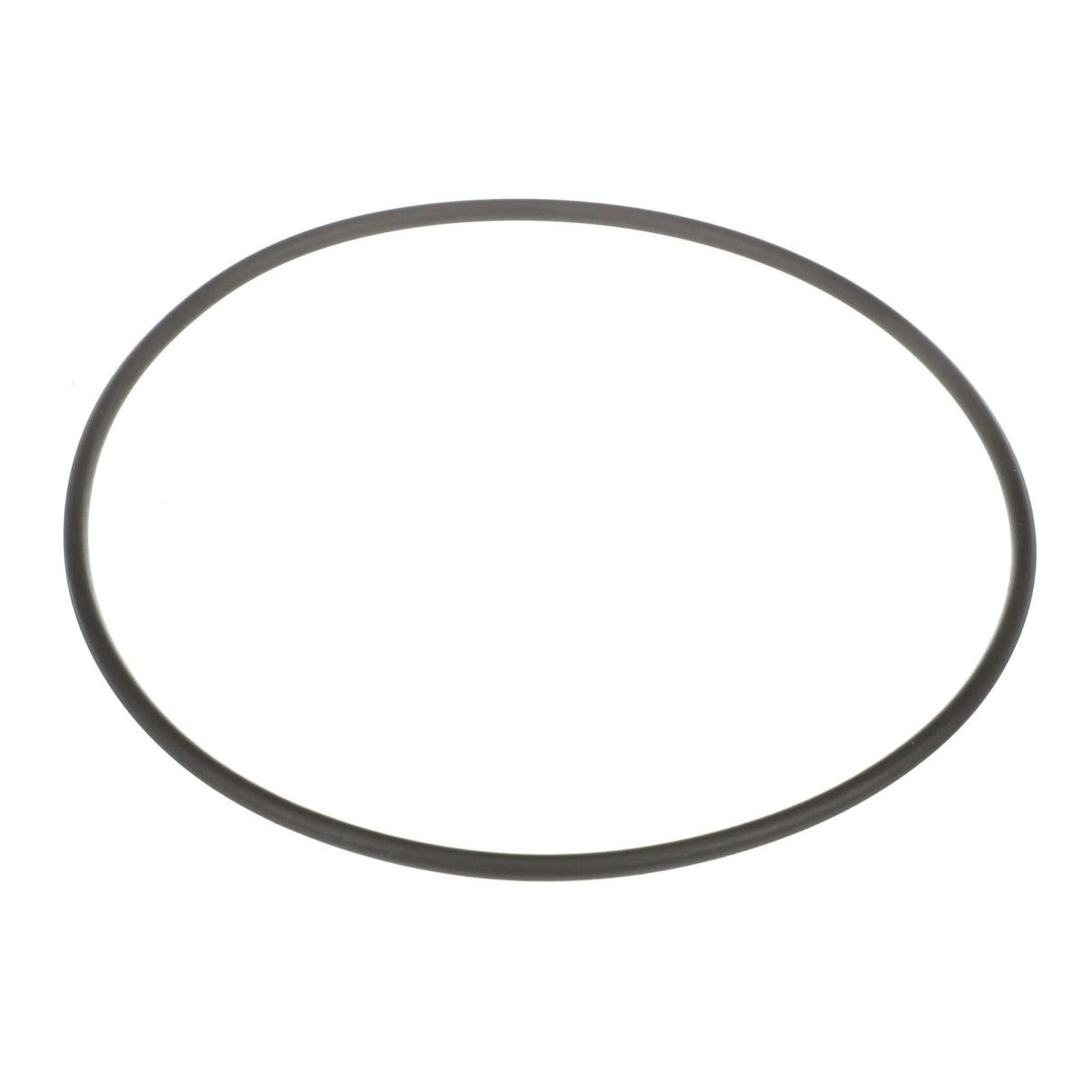 120041A1 - OEM O-RING - CASE CONSTRUCTION