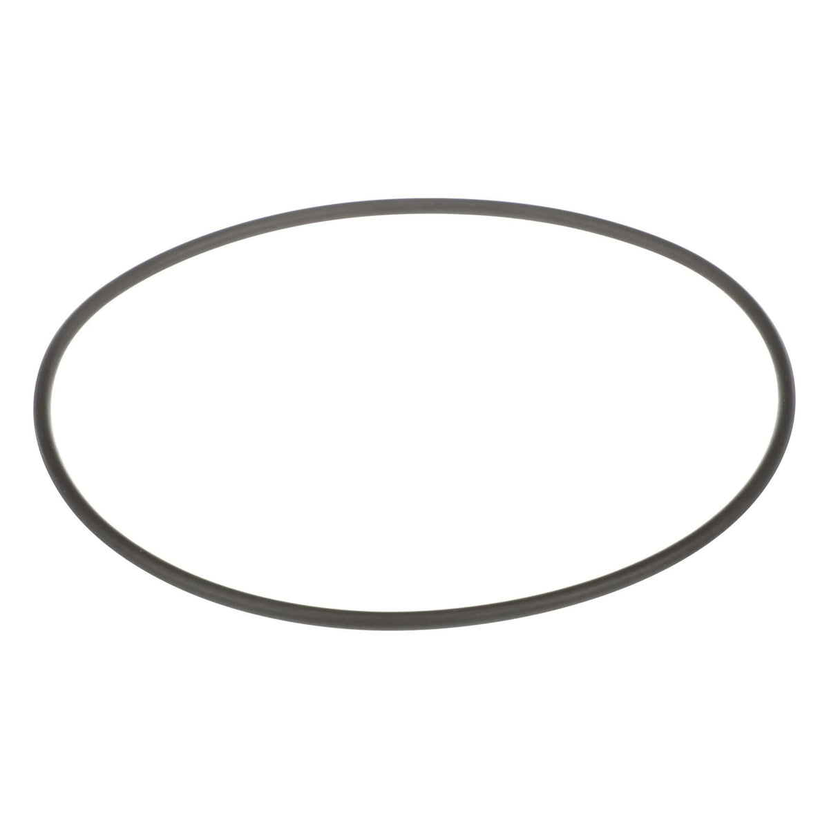 120041A1 - OEM O-RING - CASE CONSTRUCTION