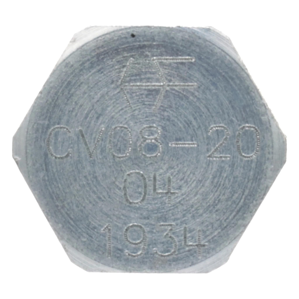 120459A1 - OEM CHECK VALVE - CASE CONSTRUCTION