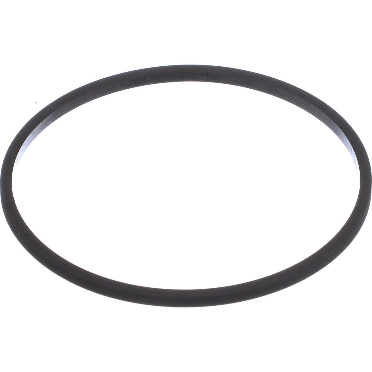 123010C3 - OEM 119.02MM ID X 128MM OD X 4.9MM THICK FILTER GASKET - CASE CONSTRUCTION