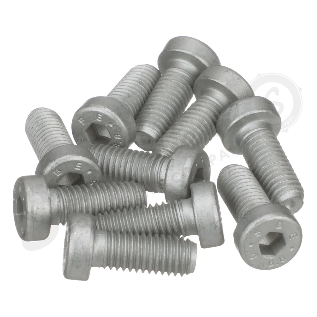 13028524 - OEM HEX SOCKET SCREW - CASE CONSTRUCTION