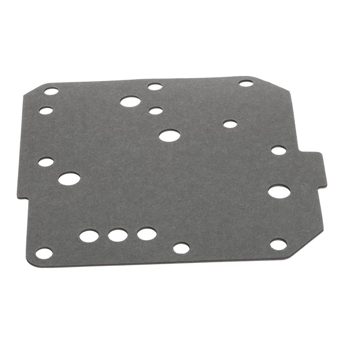 1341102C1 - OEM GASKET - CASE CONSTRUCTION