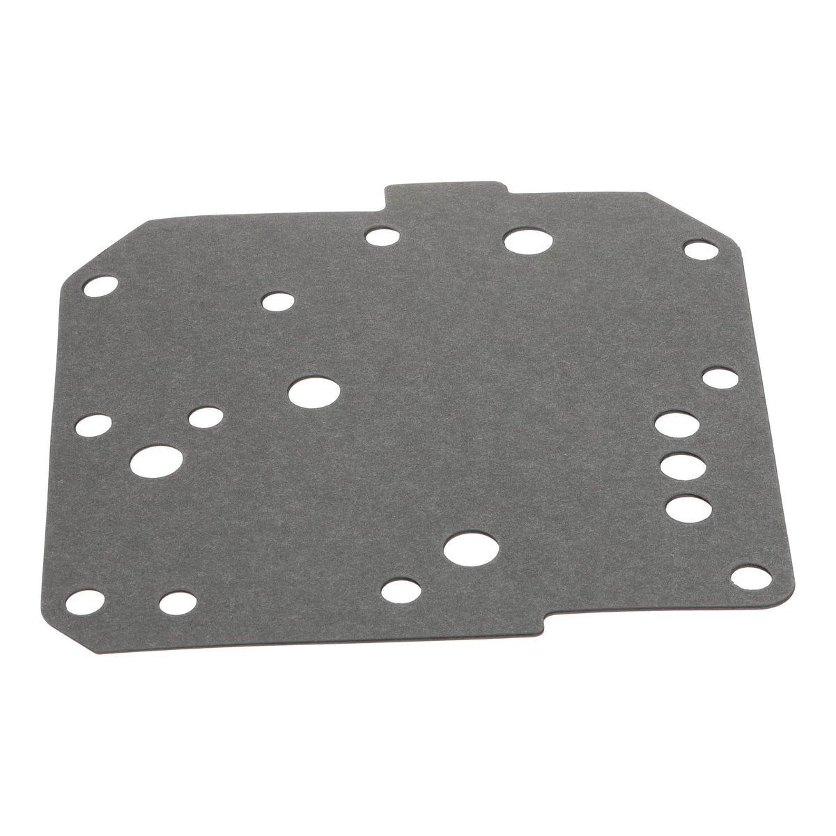 1341102C1 - OEM GASKET - CASE CONSTRUCTION