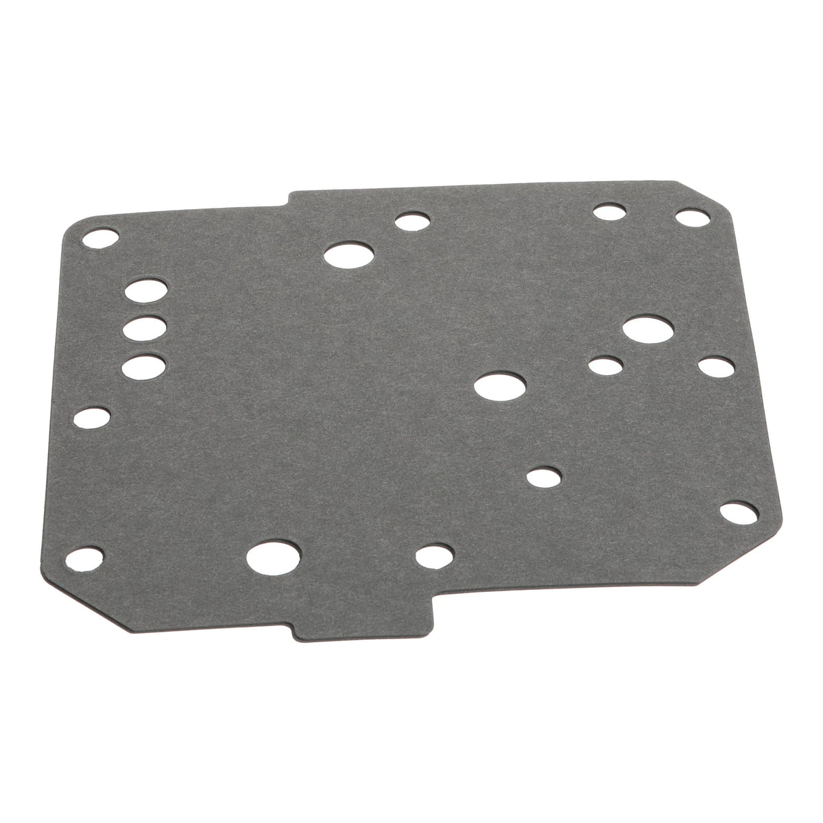 1341102C1 - OEM GASKET - CASE CONSTRUCTION