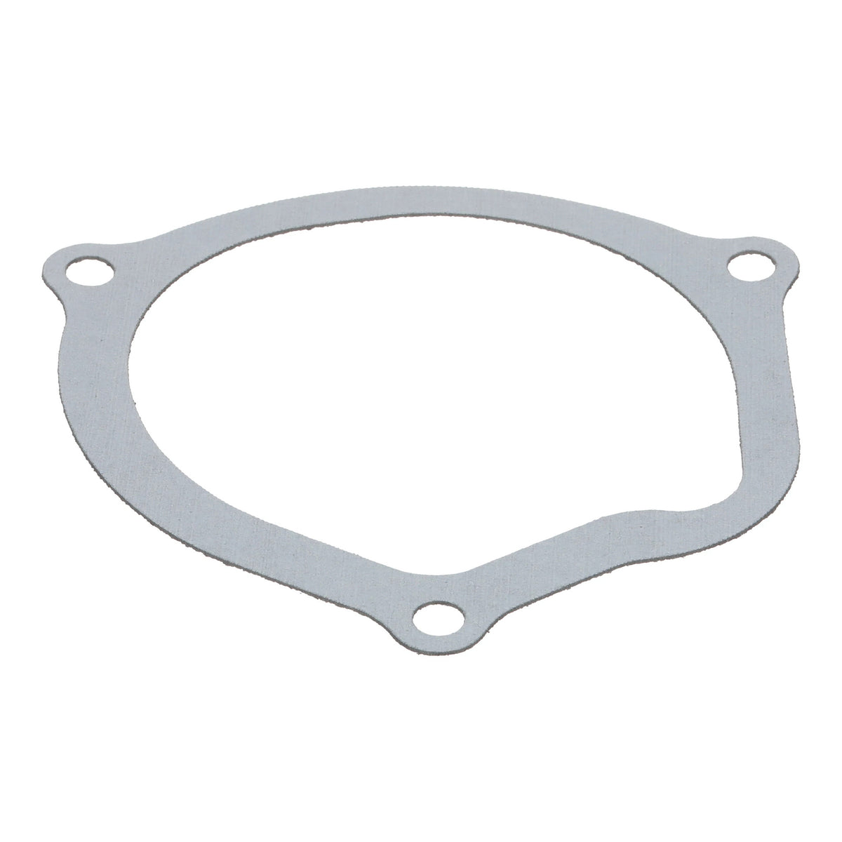 1342741C1 - OEM GASKET - CASE CONSTRUCTION