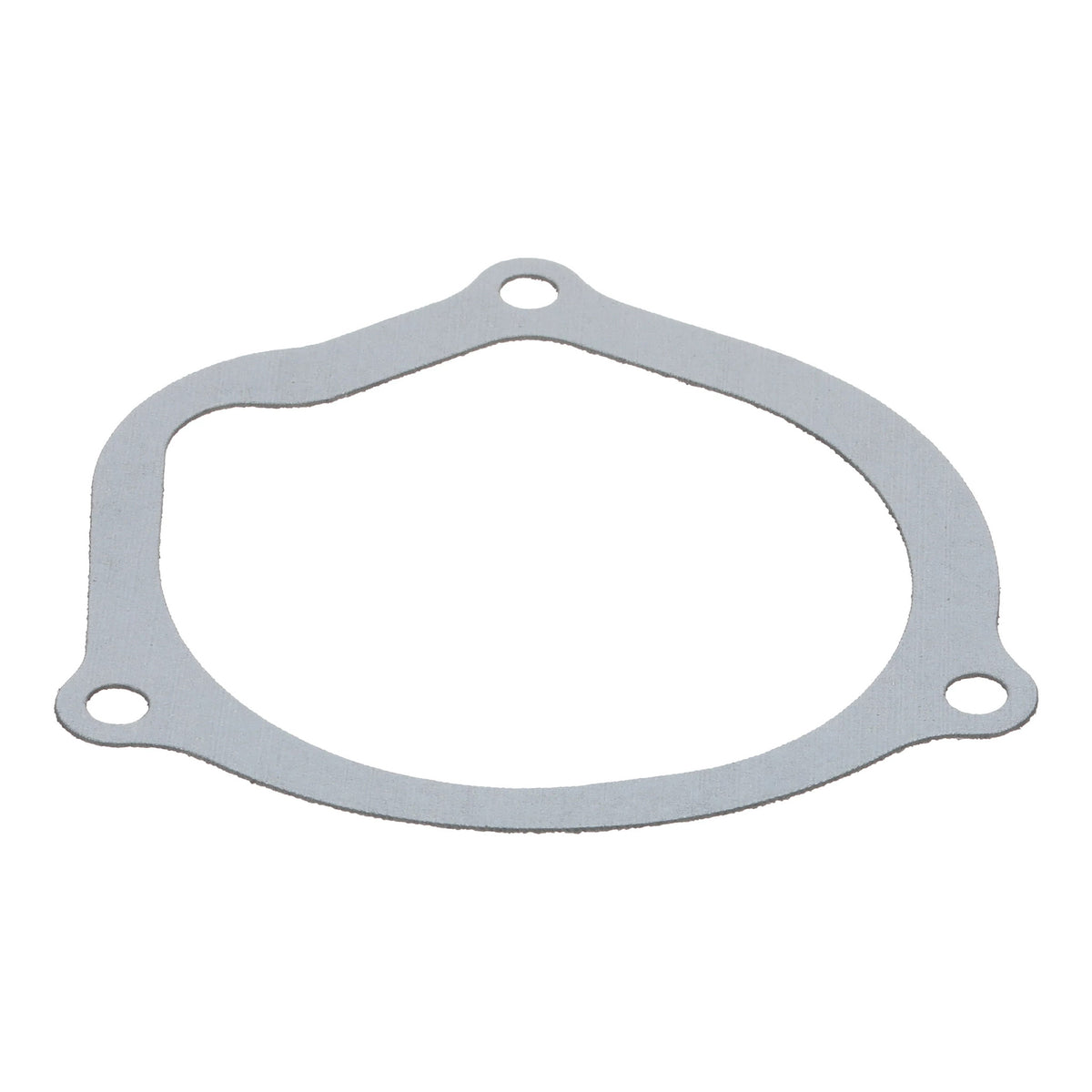 1342741C1 - OEM GASKET - CASE CONSTRUCTION