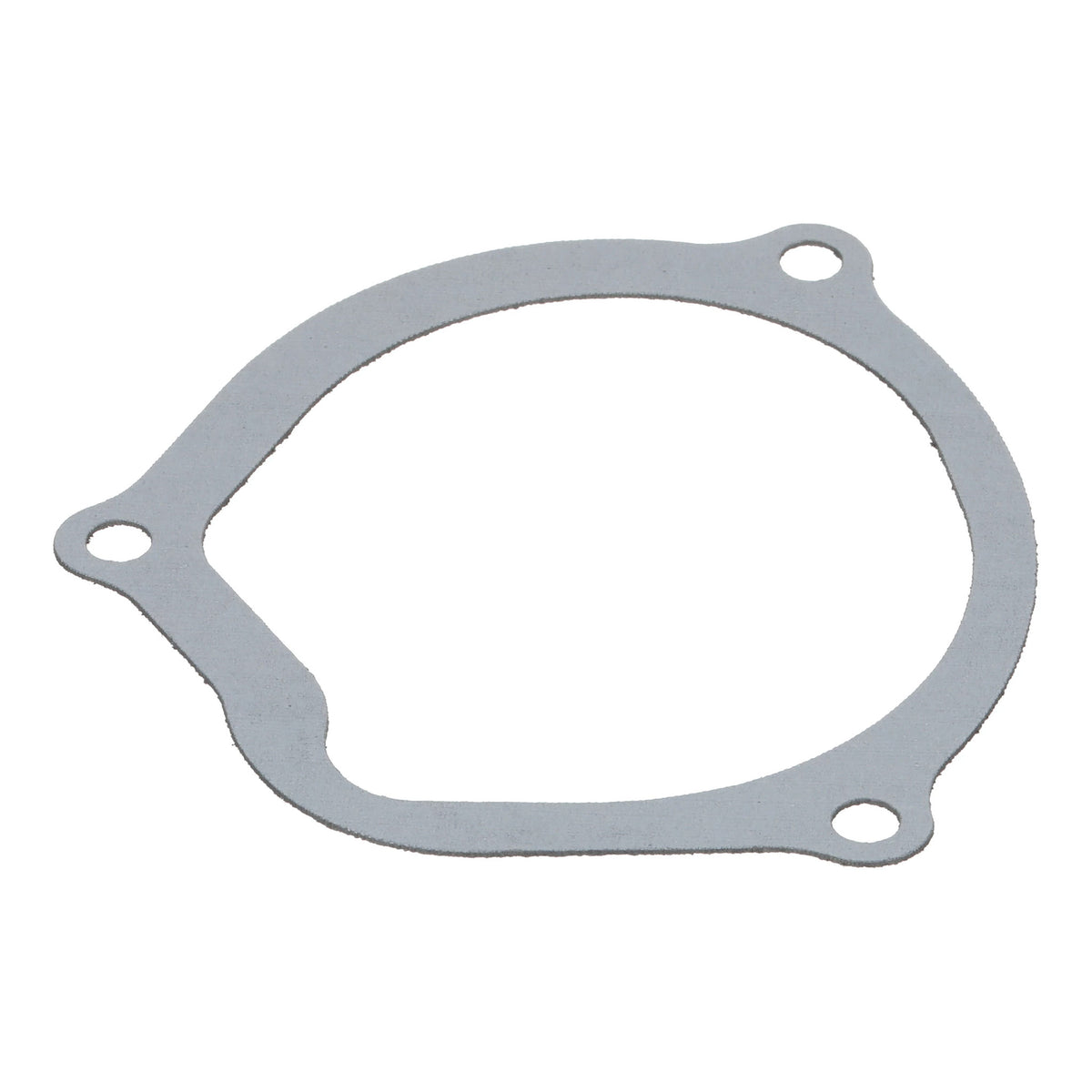 1342741C1 - OEM GASKET - CASE CONSTRUCTION