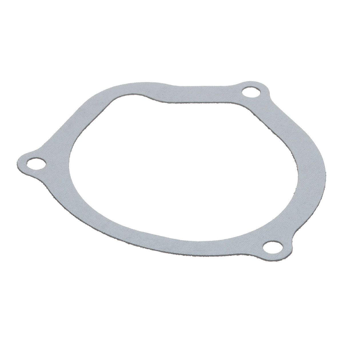 1342741C1 - OEM GASKET - CASE CONSTRUCTION
