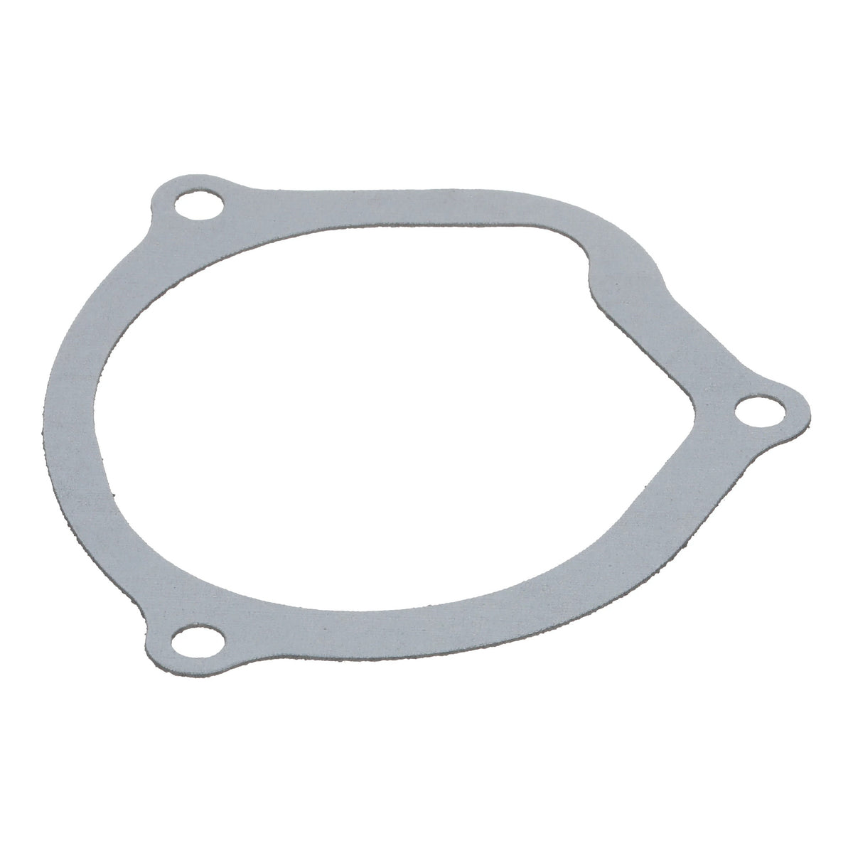 1342741C1 - OEM GASKET - CASE CONSTRUCTION