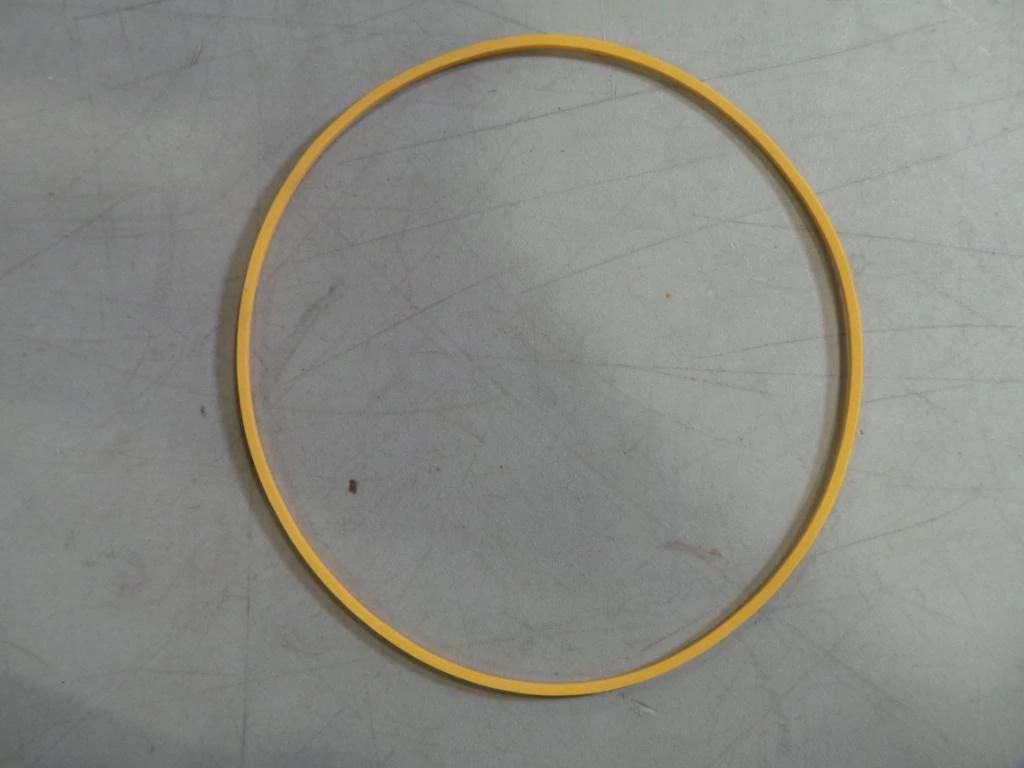 1348992C1 - OEM SEAL - CASE CONSTRUCTION