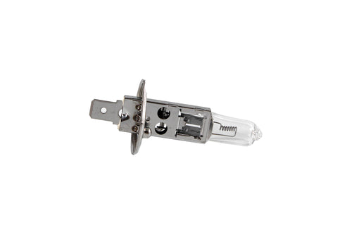 14151190 - OEM Bulb - Case Construction