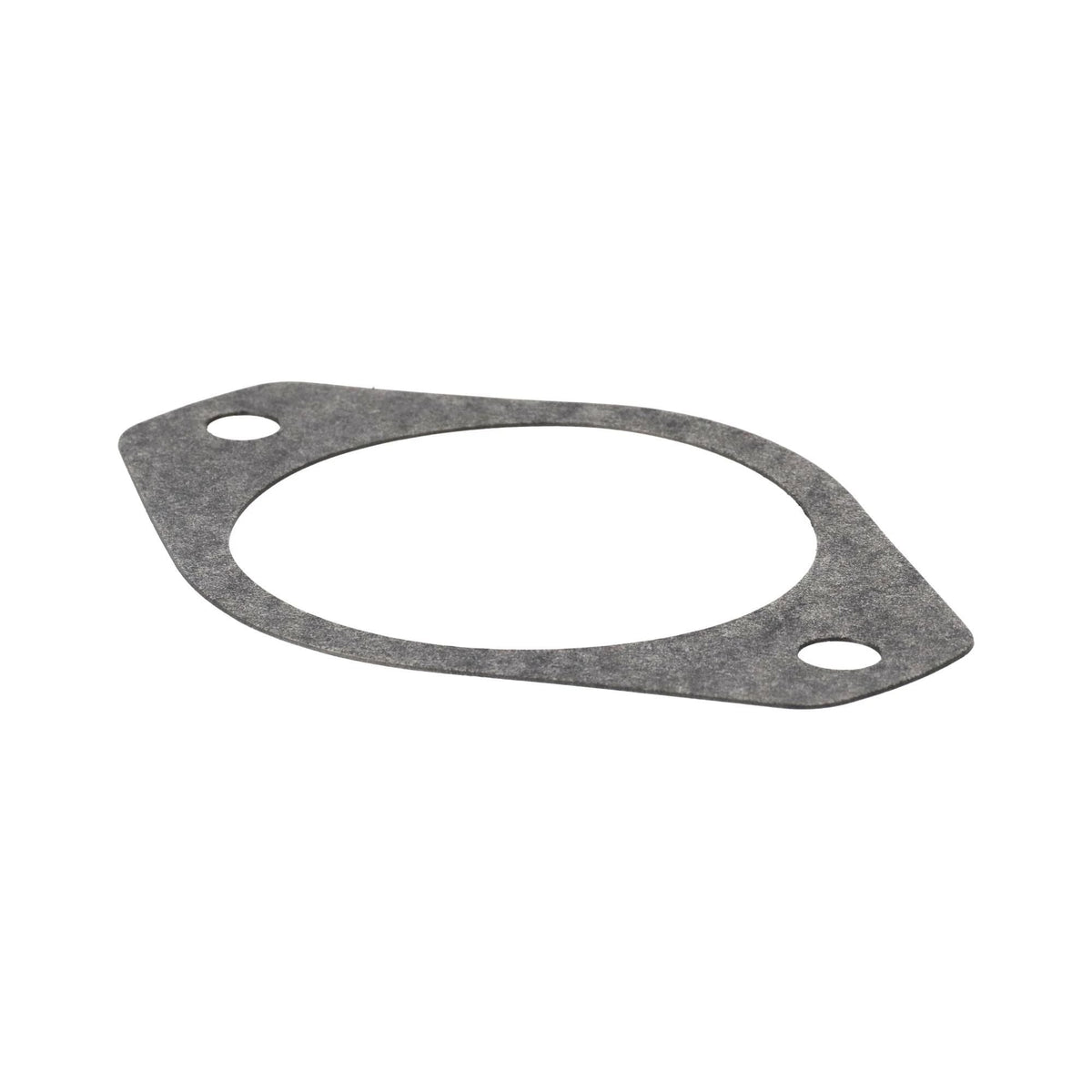 144169C2 - OEM GASKET HYD PUMP - CASE CONSTRUCTION