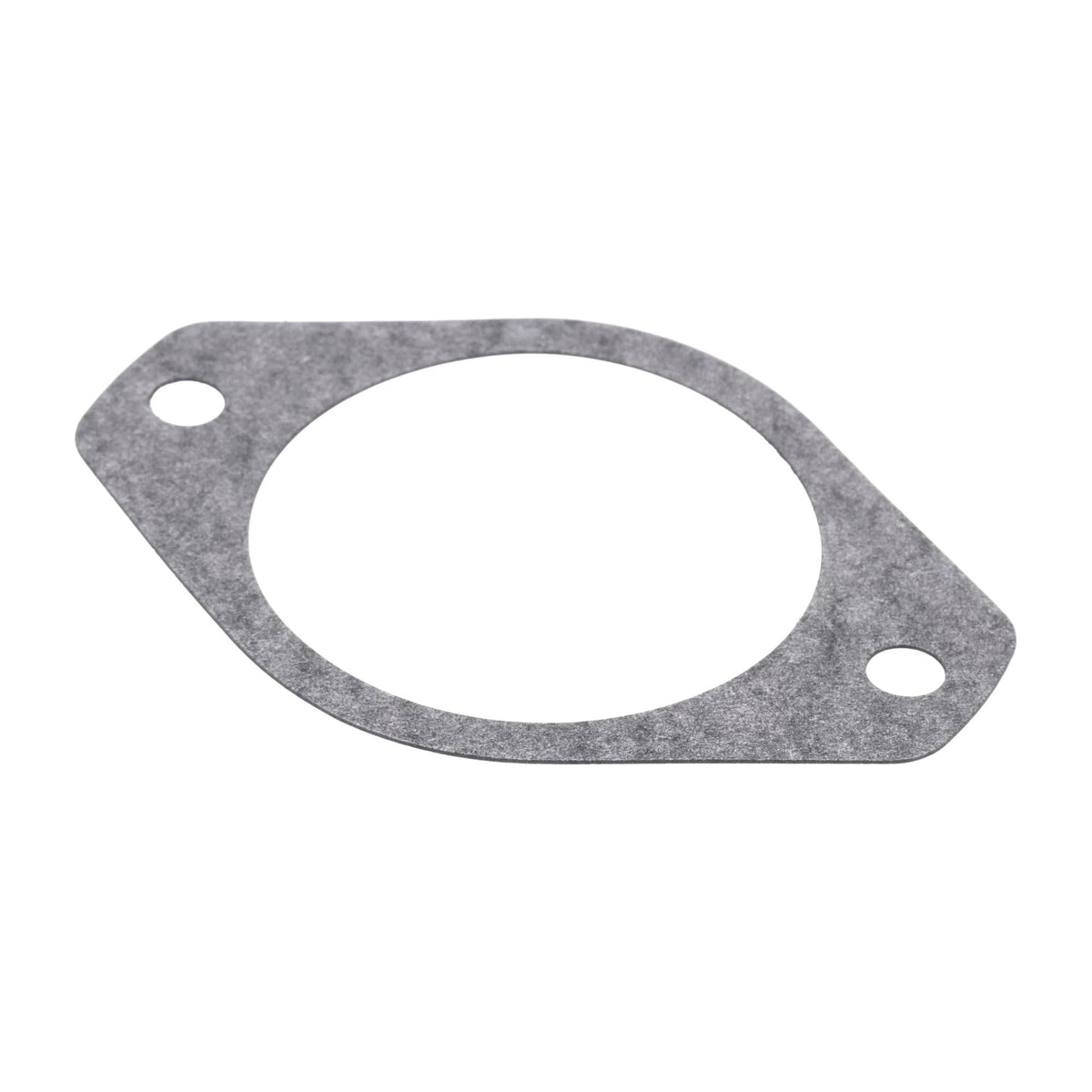 144169C2 - OEM GASKET HYD PUMP - CASE CONSTRUCTION