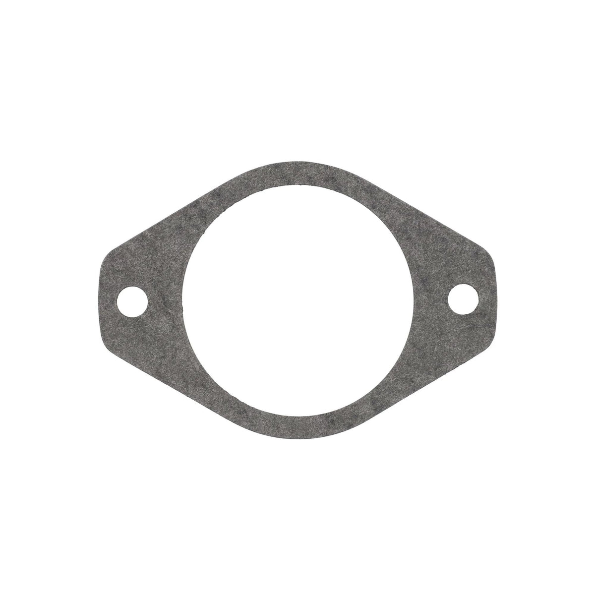144169C2 - OEM GASKET HYD PUMP - CASE CONSTRUCTION