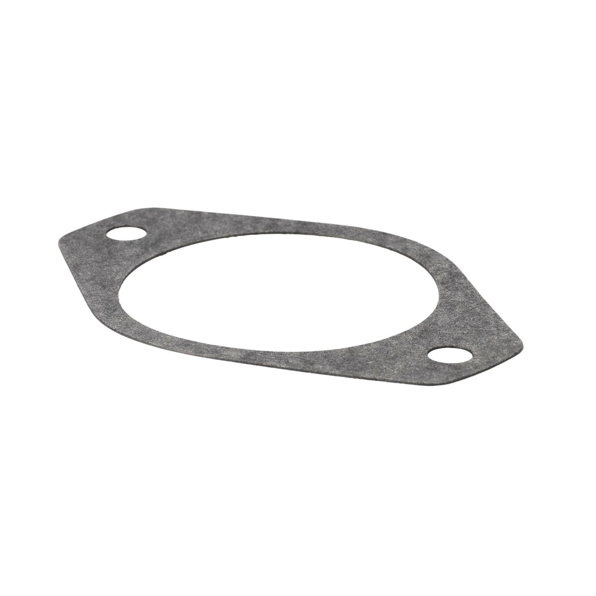 144169C2 - OEM GASKET HYD PUMP - CASE CONSTRUCTION
