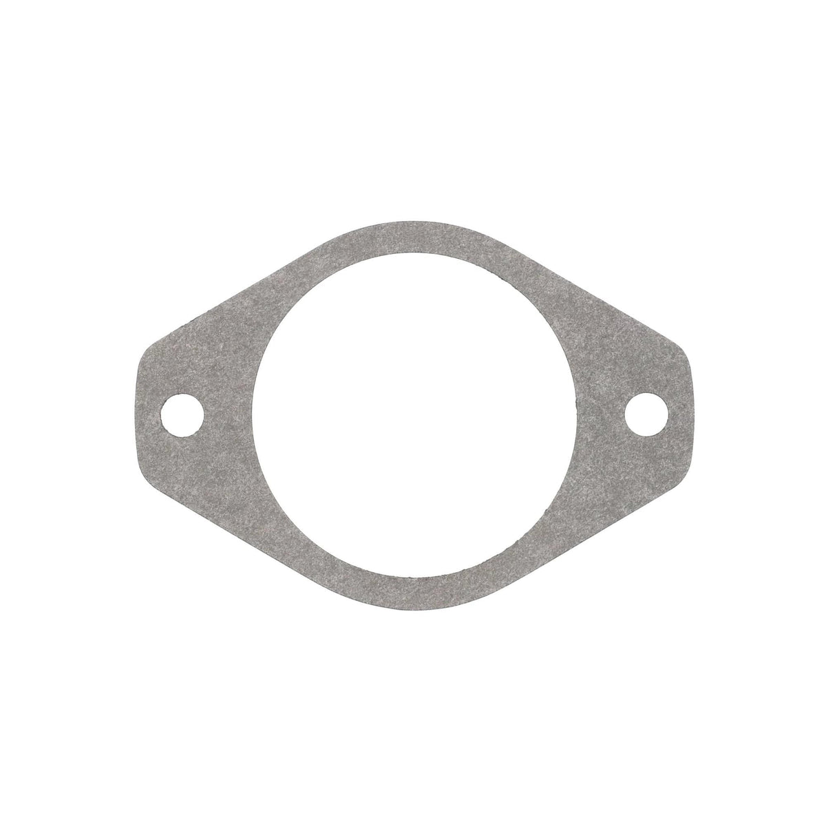144169C2 - OEM GASKET HYD PUMP - CASE CONSTRUCTION