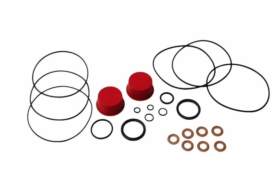 1500443C92 - OEM SEALS KIT - CASE CONSTRUCTION