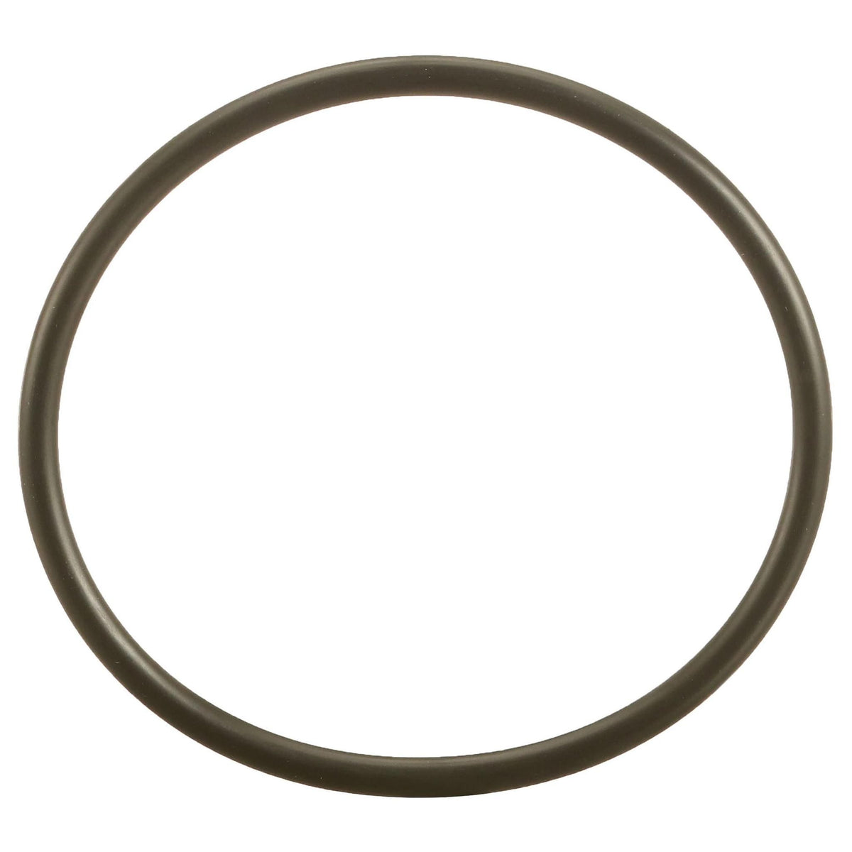 153689A1 - OEM O-RING - CASE CONSTRUCTION