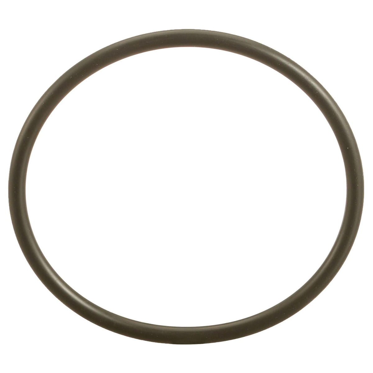 153689A1 - OEM O-RING - CASE CONSTRUCTION