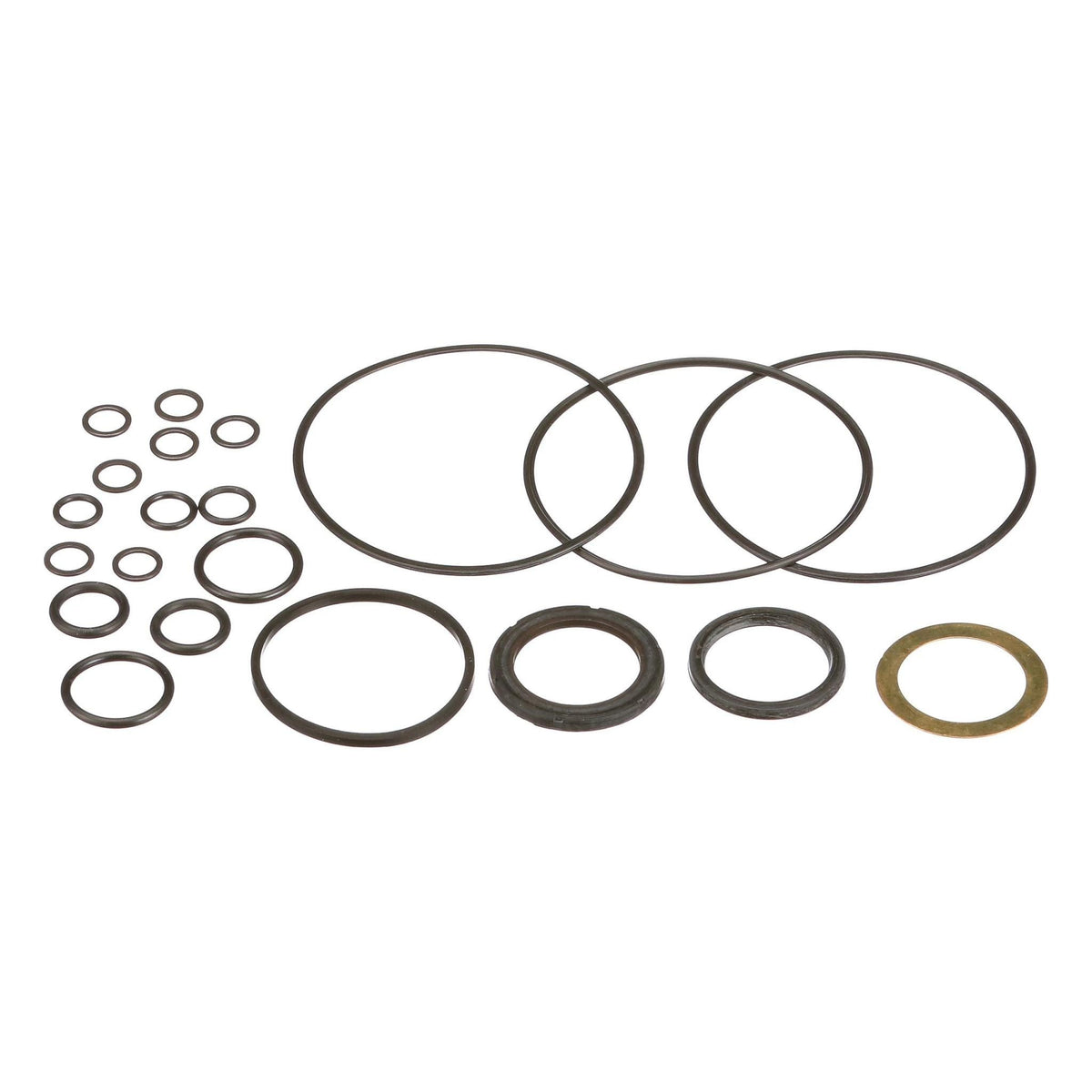 1542724C1 - OEM HYDRAULIC PUMP SEALS KIT PACK OF 21 - CASE CONSTRUCTION