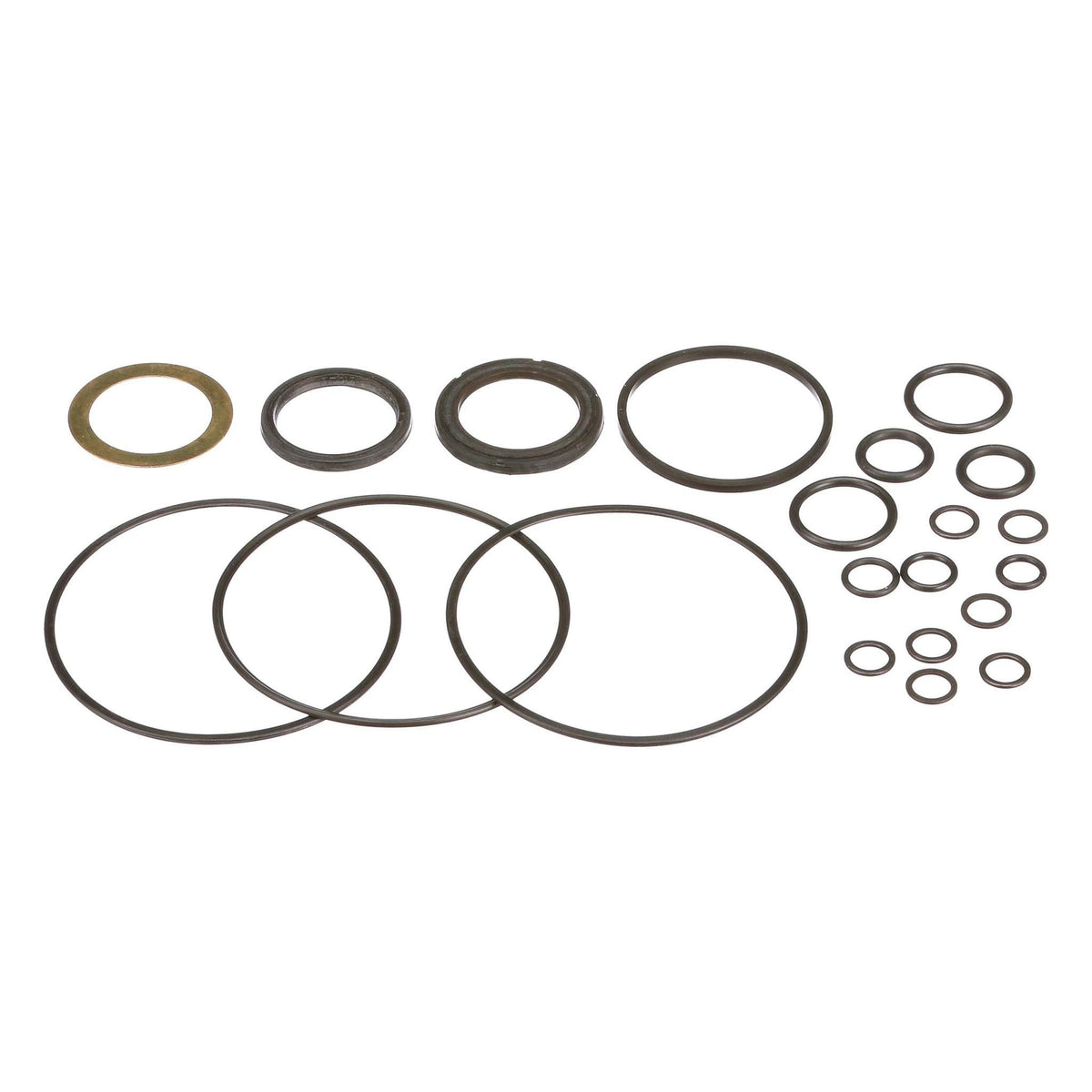 1542724C1 - OEM HYDRAULIC PUMP SEALS KIT PACK OF 21 - CASE CONSTRUCTION