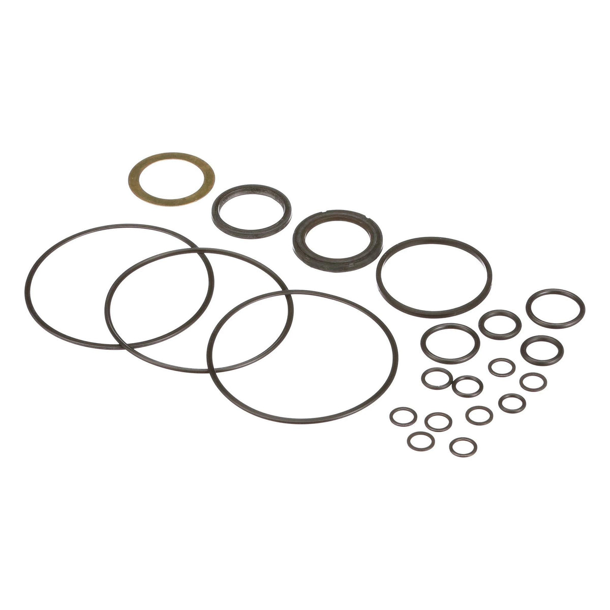 1542724C1 - OEM HYDRAULIC PUMP SEALS KIT PACK OF 21 - CASE CONSTRUCTION